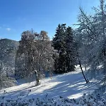 U Golfu Cihelny